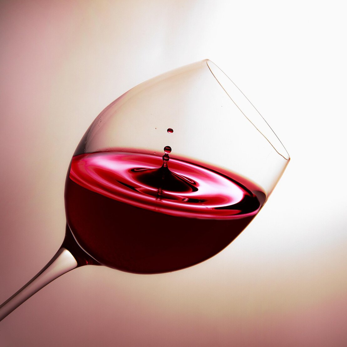 Bottiglie di vino in cantina
