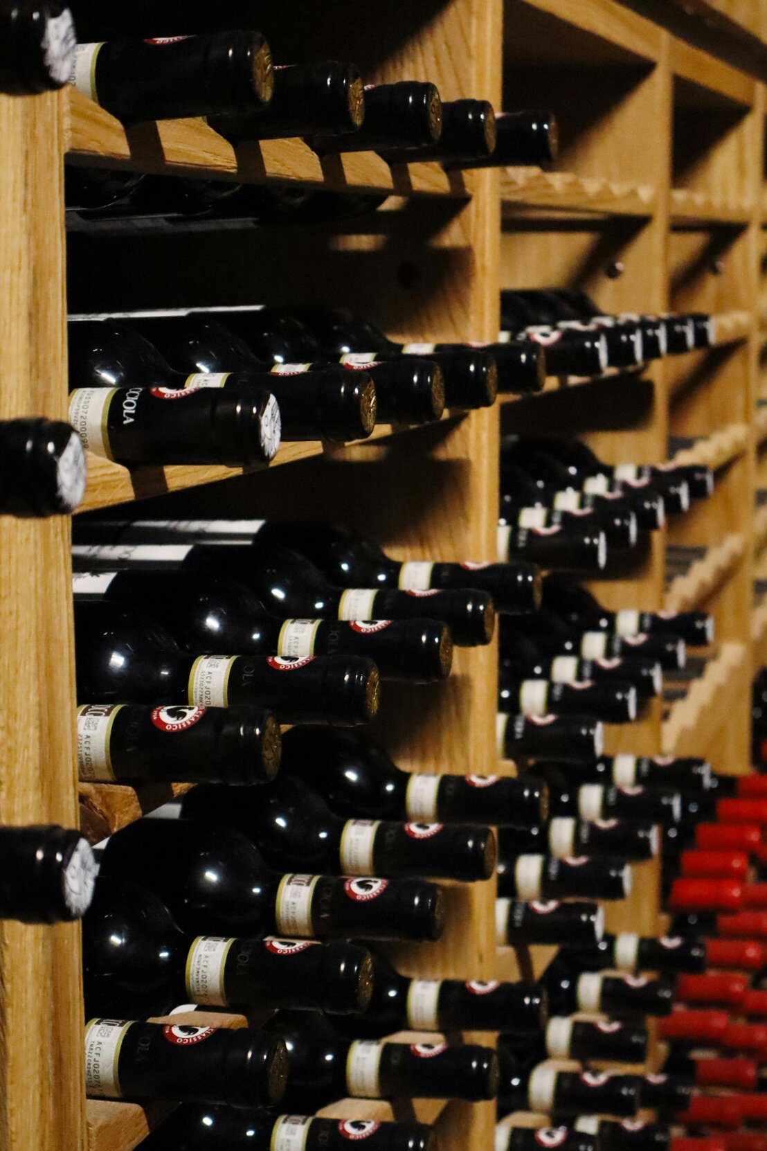 Calice di vino rosso in cantina con botti
